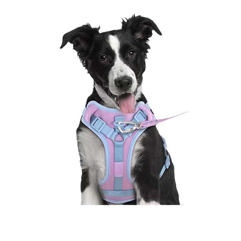 Dog Collar Harness Hand Holding and Rope Leash - Easy Control - Purrfect Pet Haven