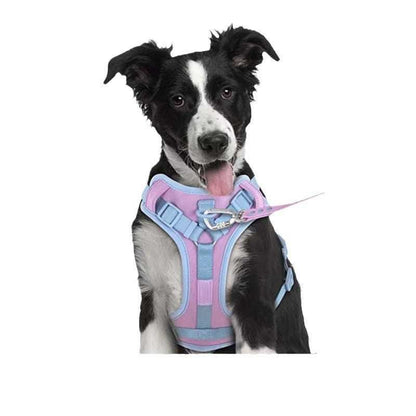 Dog Collar Harness Hand Holding and Rope Leash - Easy Control - Purrfect Pet Haven