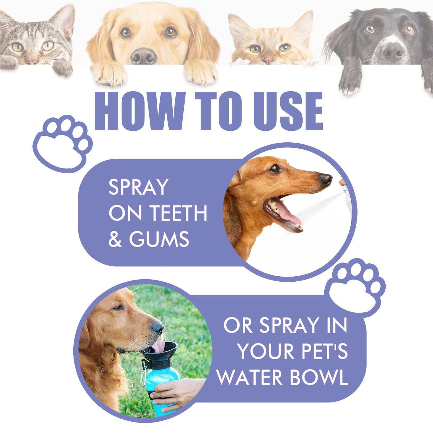 Teeth Stain Removal, Breath, Pet Oral Care Spray - Purrfect Pet Haven