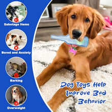Water Bottle Squeaky Indestructible Dog Toys For Aggressive Chewers - Purrfect Pet Haven