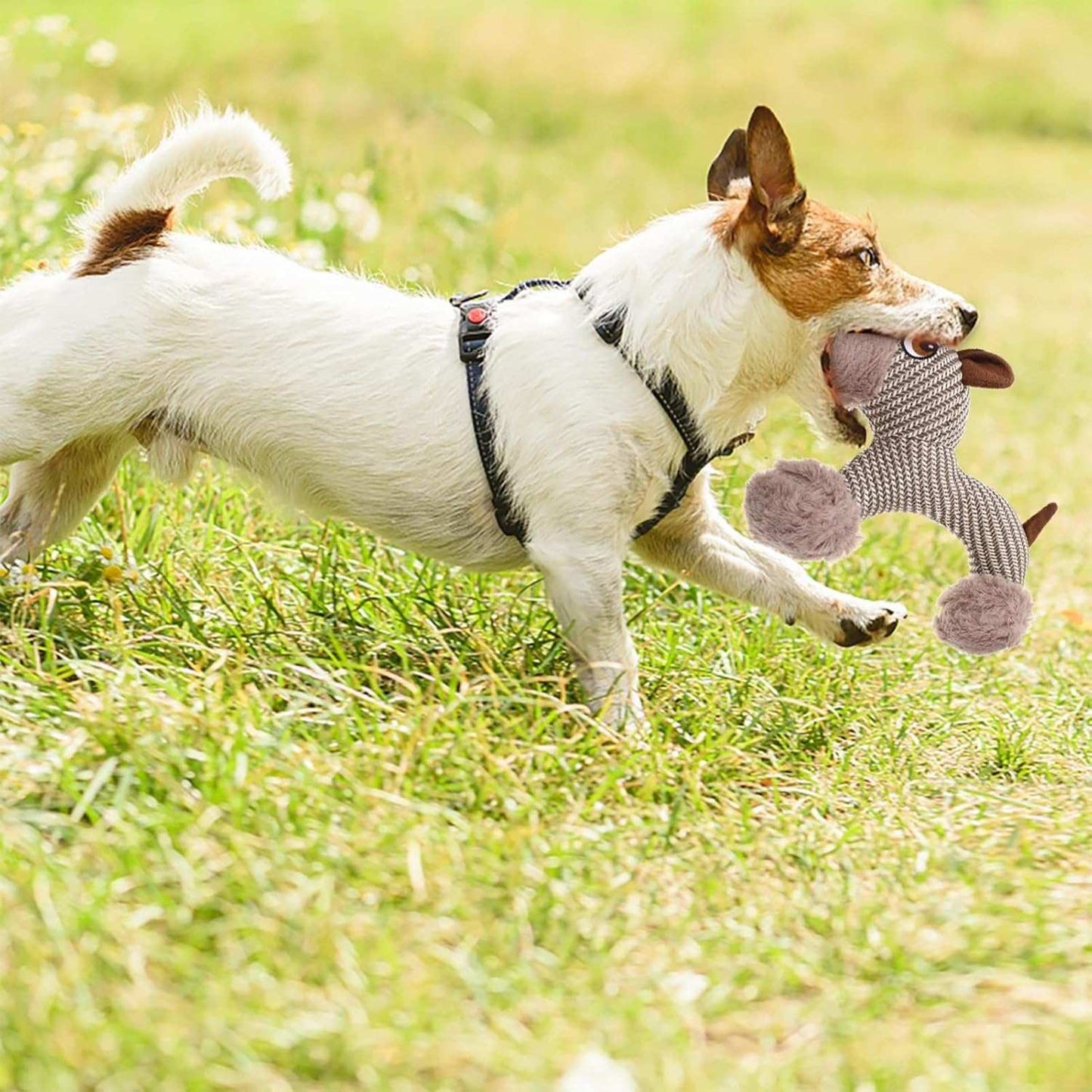 Large Plush Stuffed Animal Interactive Squeaky Dog Chew Toy - Purrfect Pet Haven