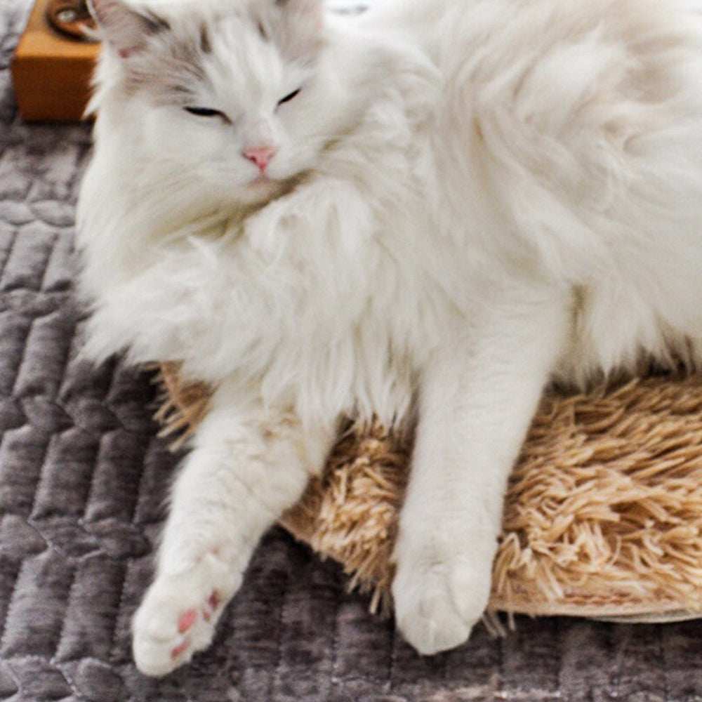 USB Heated Pet Bed - Energy-Saving Warming Mat for Pets - Purrfect Pet Haven