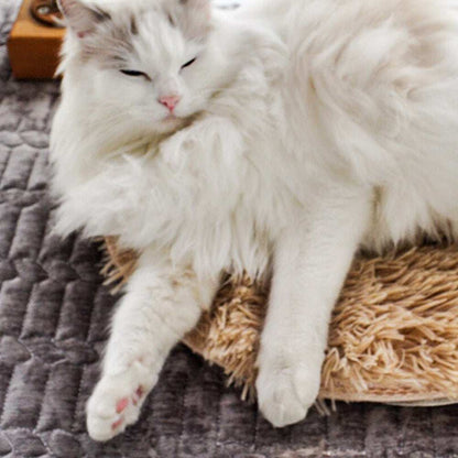 USB Heated Pet Bed - Energy-Saving Warming Mat for Pets - Purrfect Pet Haven