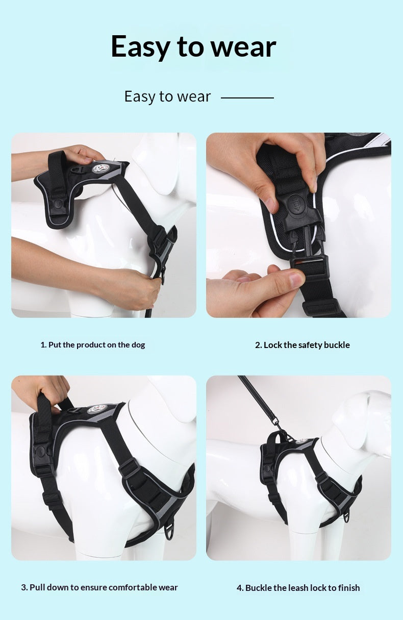 Dog Harness - Large Chest Style with Leash - Purrfect Pet Haven