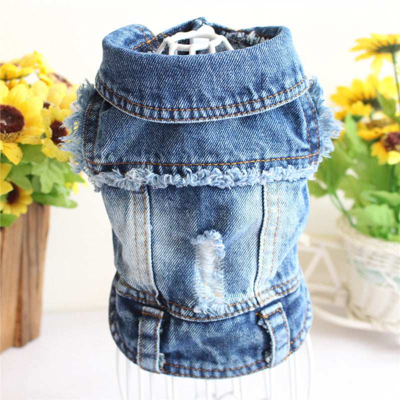 Ripped Fringe Denim Jacket - Full Size Pet Clothes - Purrfect Pet Haven