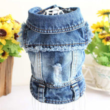 Ripped Fringe Denim Jacket - Full Size Pet Clothes - Purrfect Pet Haven