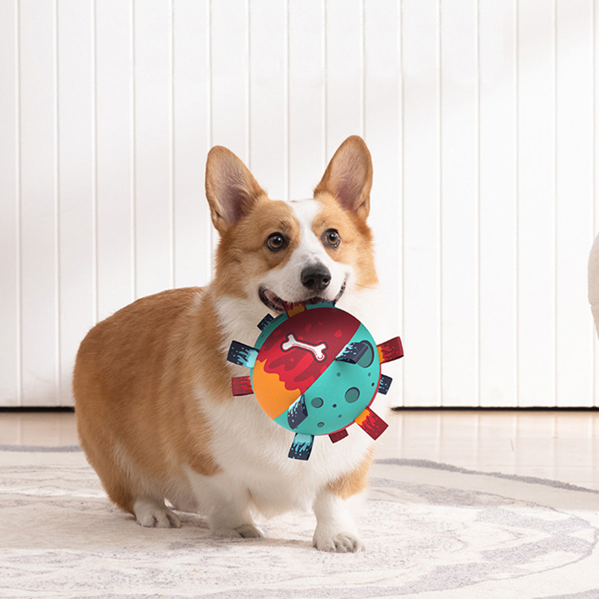 Dog Soccer Ball - Interactive Tug Toy with Straps - Purrfect Pet Haven