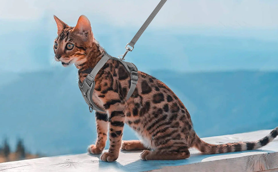 Anti-Escape Cat Harness - Breathable Mesh Leash Set - Purrfect Pet Haven
