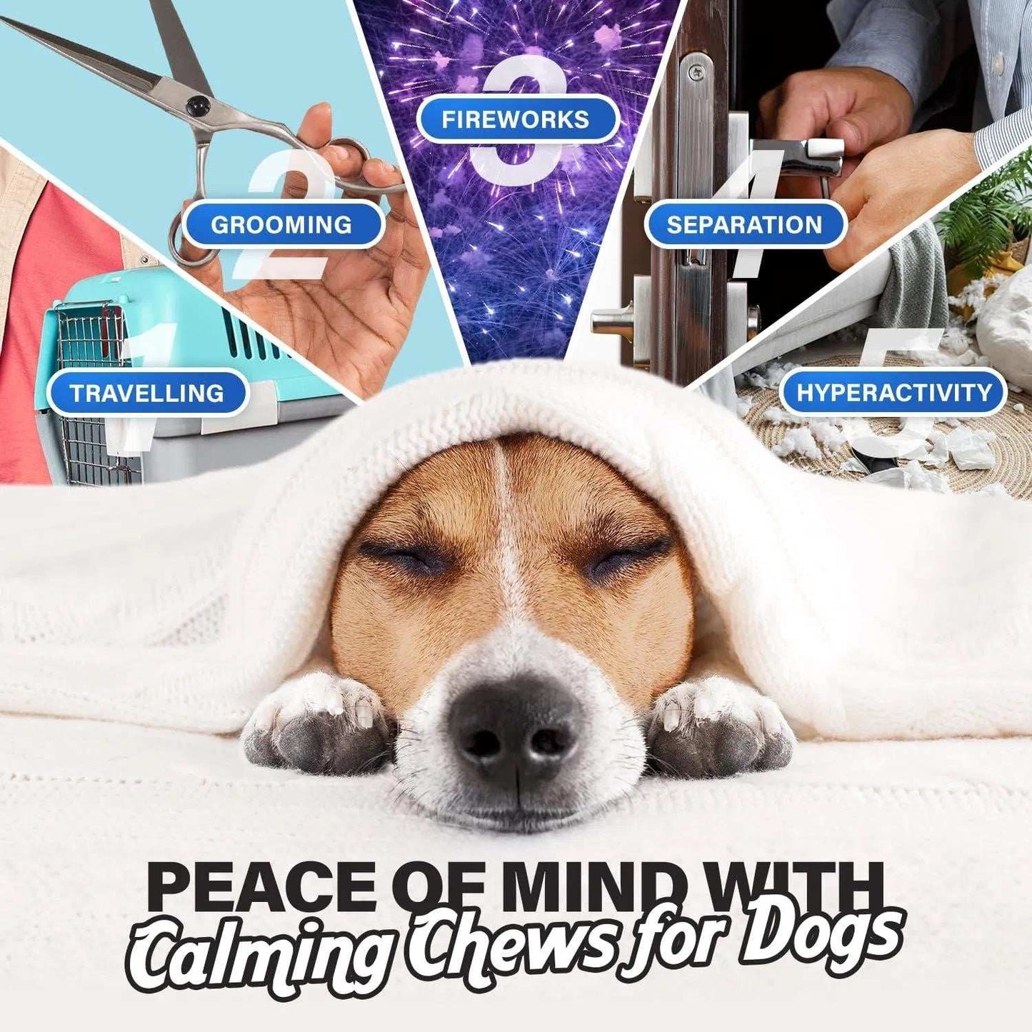 Calming Chews For Dogs Dog Anxiety Relief Promote Relaxation Dog Calming Chews With Melatonin For Dogs Chamomile Magnesium Citrate 90 Soft Chews Chicken Flavor - Purrfect Pet Haven