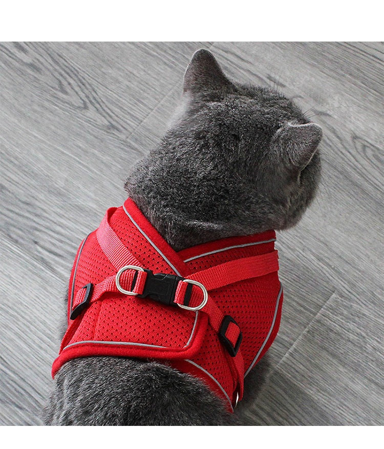 Anti-Escape Cat Vest - Breathable Walking Harness - Purrfect Pet Haven