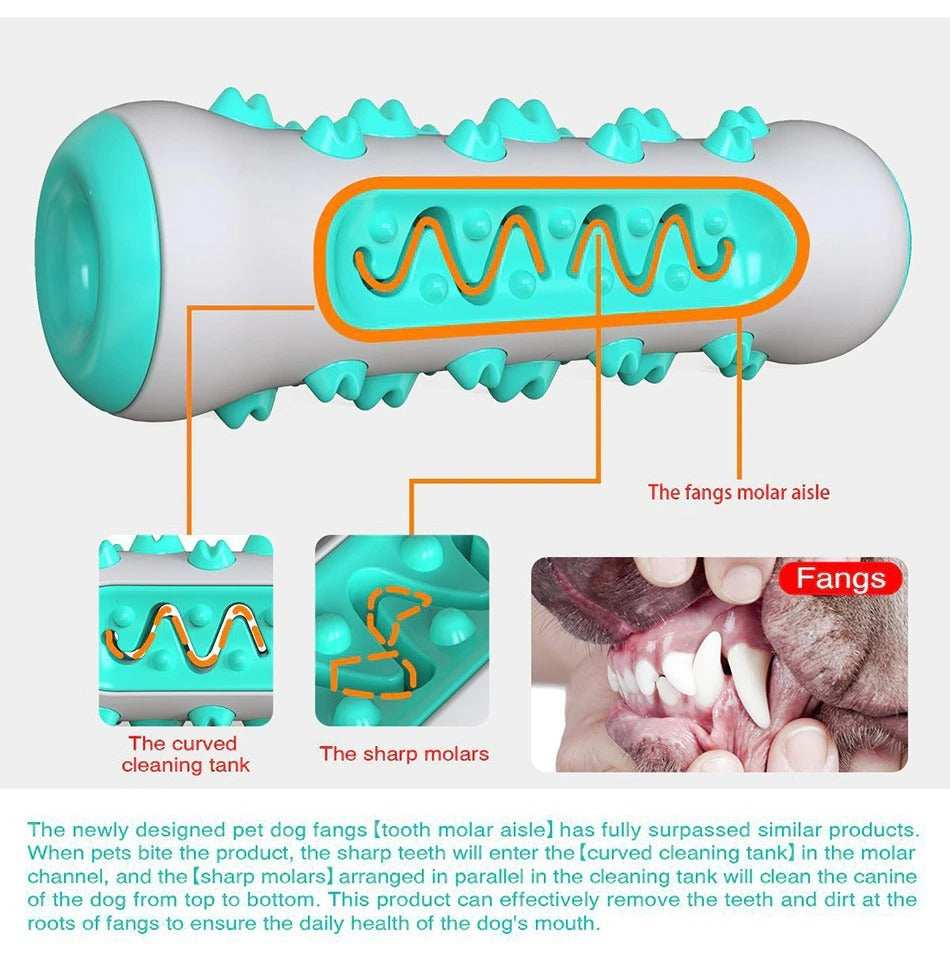 Indestructible Dog Squeaky Toys - Tough Toothbrush Chew Toy for Aggressive Chewers - Purrfect Pet Haven