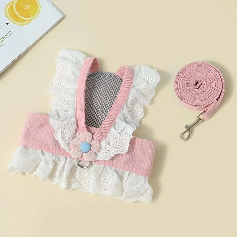 Dog harness and leash set with floral design on a beige background