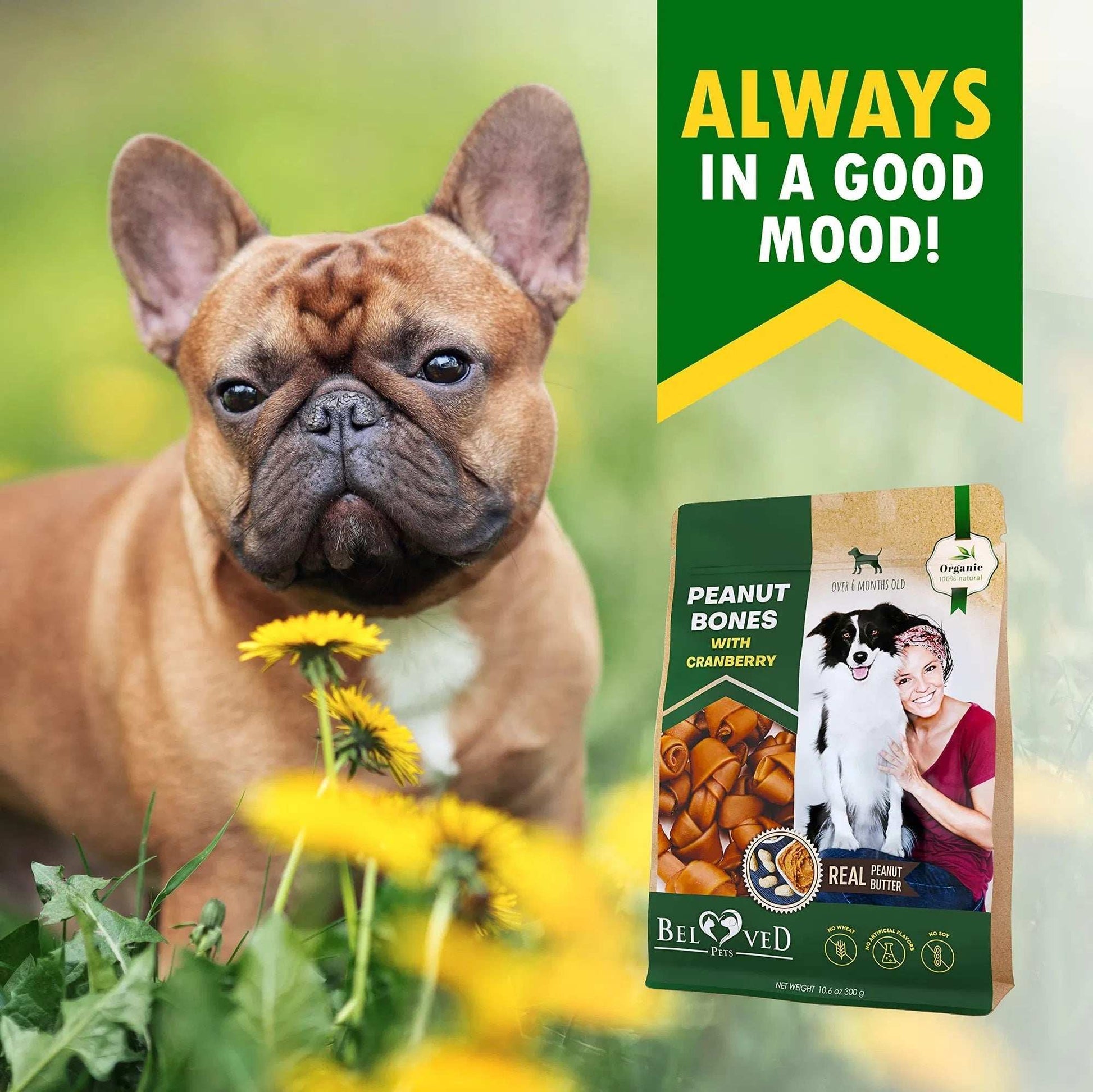 Dog Peanut Butter Bones With Cranberry Rawhide Free Chew Treats Pet Natural Mini & Big Organic Snacks Healthy Collagen & Bulk Best Chews For Small & Large Dogs - Purrfect Pet Haven