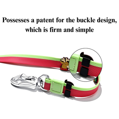 DIY Pet Leash Set - Dual-Color Embossed with 12 Accessories - Purrfect Pet Haven