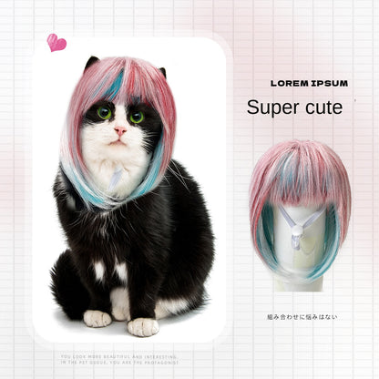 Pet cat long wig cat dog universal colorful long hair party outfit