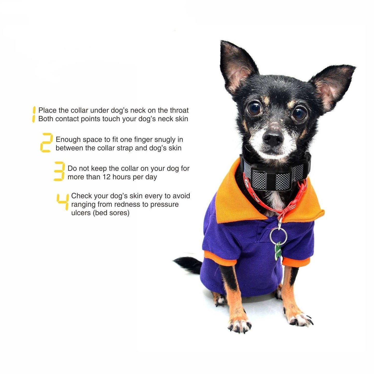 Automatic Anti-Barking Stop Training Collar - Small to Large Dogs - Purrfect Pet Haven