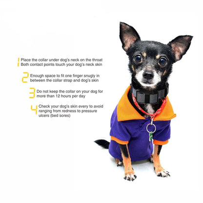 Automatic Anti-Barking Stop Training Collar - Small to Large Dogs - Purrfect Pet Haven