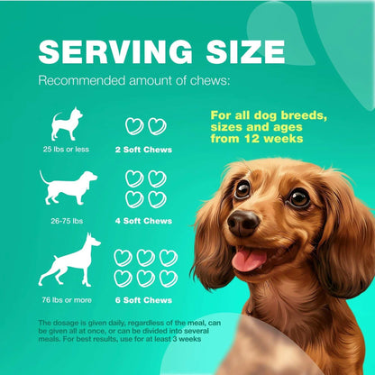 70 Probiotic Chews Support Gut Health, Yeast Balance, Itchy Skin and Allergies For Dogs - Purrfect Pet Haven