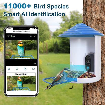 BirdCam Pro Feeder - Smart Solar HD Camera with AI ID - Purrfect Pet Haven