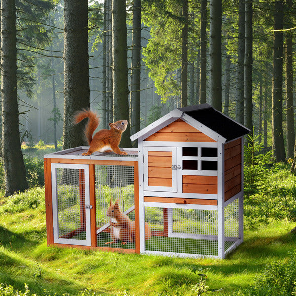 Wooden Rabbit Hutch with Run - Fir Wood with Ladder - Purrfect Pet Haven