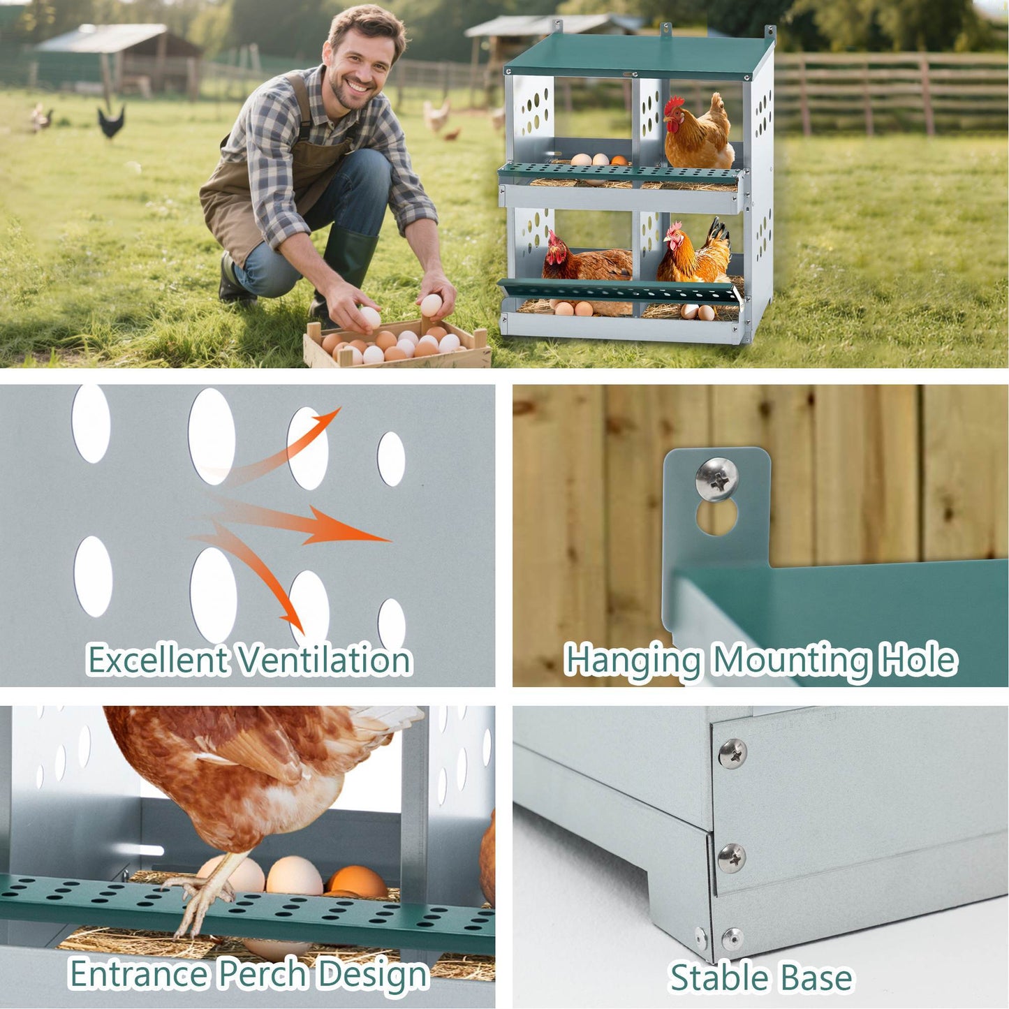 4-Compartment Metal Chicken Nesting Box - Wall Mount - Purrfect Pet Haven
