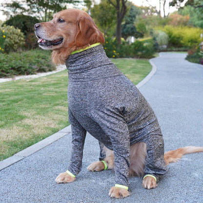 Border Collie And Golden Retriever Large Dog Four-legged Coat That Doesnt Attract Fur