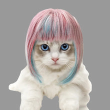 Pet Costume Long Wig - Colorful Party Princess Hair