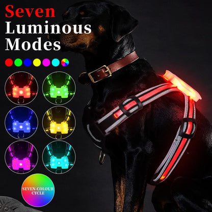 Night Dog Walking Vest Large Medium and Small Explosion proof Flushing Dog Strap LED Luminous Chest Strap