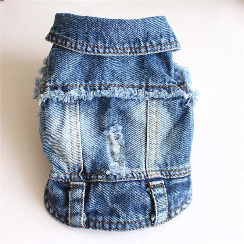 Ripped Fringe Denim Jacket - Full Size Pet Clothes - Purrfect Pet Haven