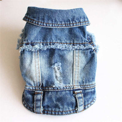 Ripped Fringe Denim Jacket - Full Size Pet Clothes - Purrfect Pet Haven