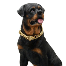 Stainless Steel Cuban Chain Lock Buckle Gold Silver Black Pet Dog Collar - Purrfect Pet Haven