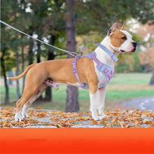 Dog Collar Harness Hand Holding and Rope Leash - Easy Control - Purrfect Pet Haven