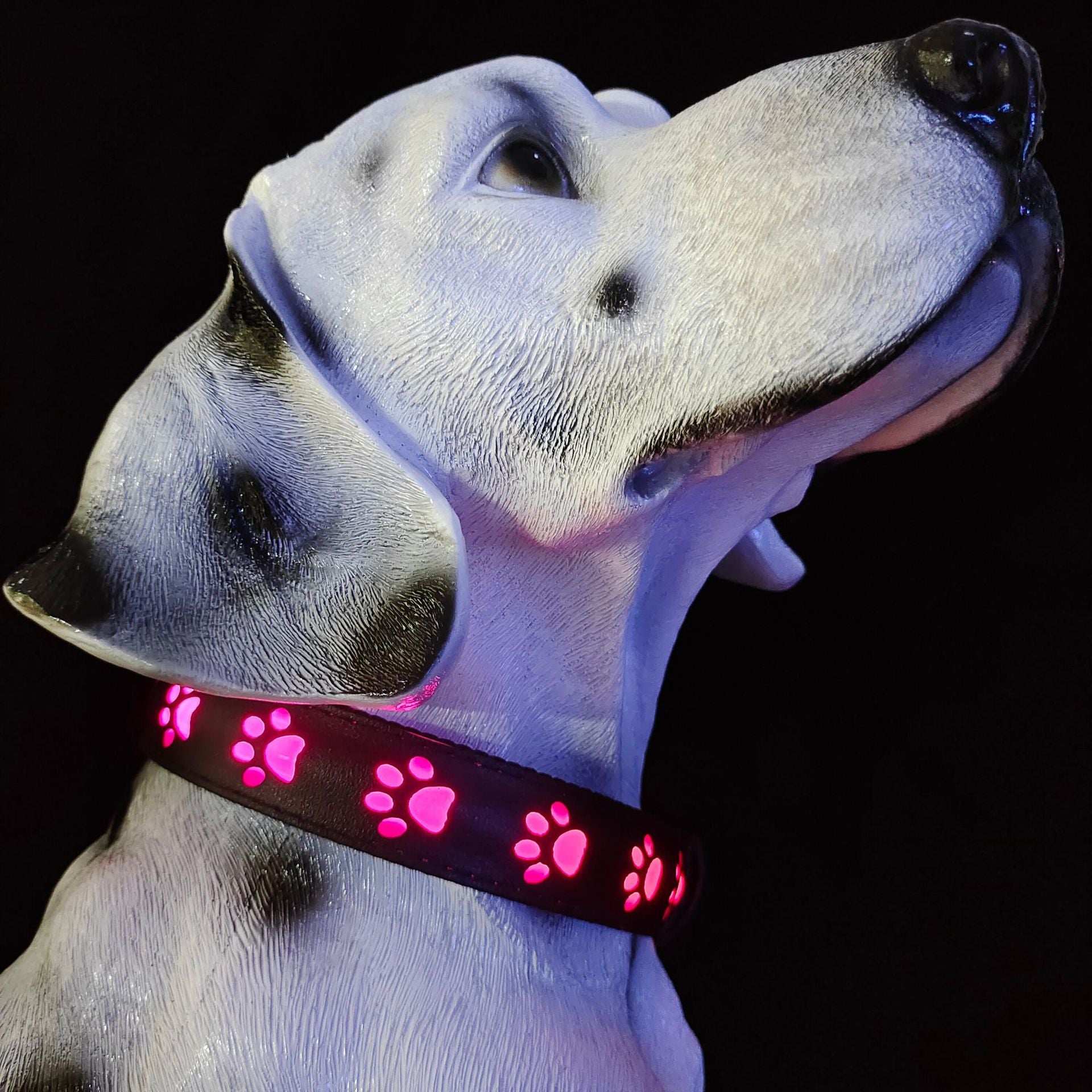 LED Dog Collar - 7 Color Luminous Paw Print USB Rechargeable - Purrfect Pet Haven