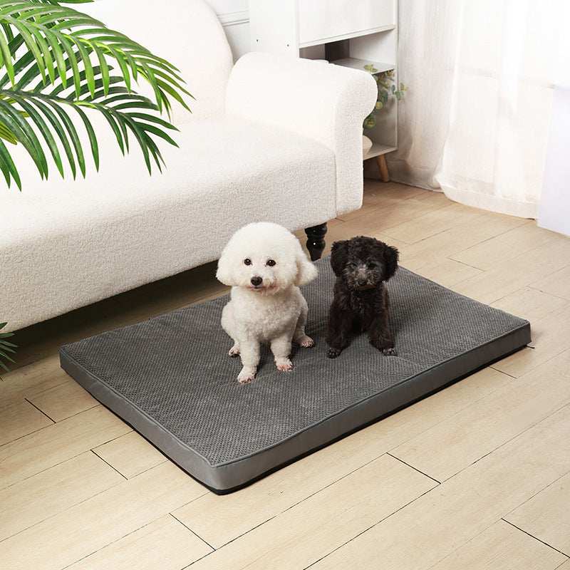 Memory Foam Pet Bed Mat with Removable Cover for Cleaning - Small to X-Large - Purrfect Pet Haven
