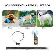 Dog Training Collar With Remote IP67 Waterproof Pet Trainer 300mAh Rechargeable 875 Yard Remote Control 4 Modes Adjustable Level - Purrfect Pet Haven