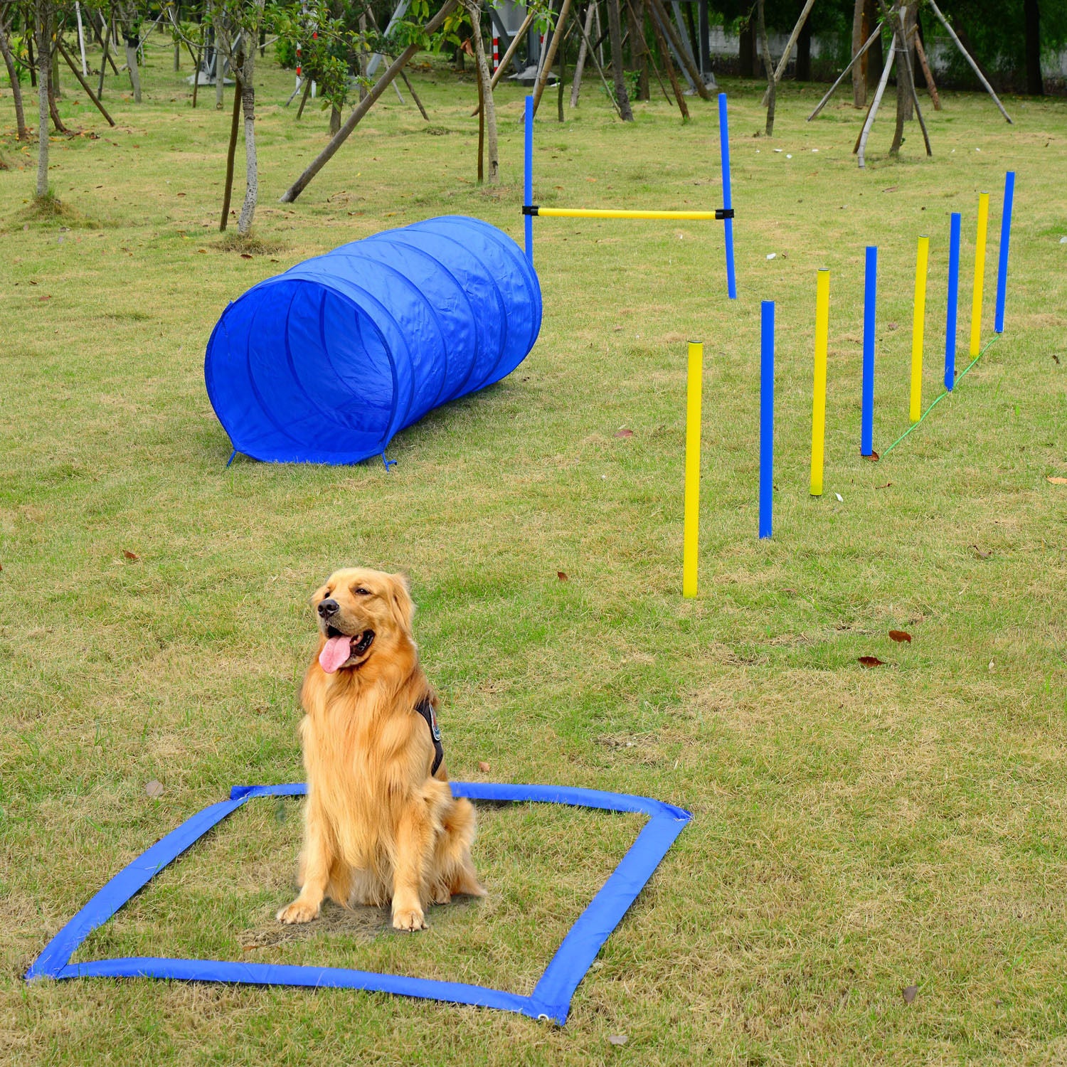 Dog Agility Equipment Set - Outdoor Obstacle Course Kit - Purrfect Pet Haven