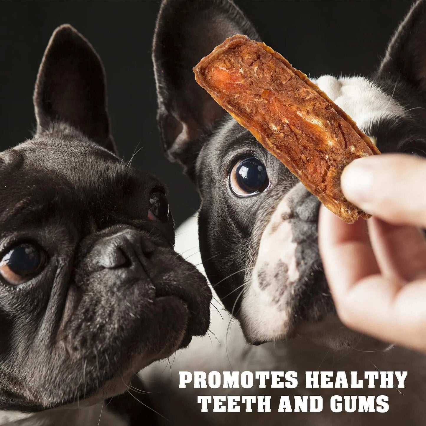 Chicken Jerky Dog Treats 1.5 Lb Human Grade Pet Snacks Grain Free Organic Meat All Natural High Protein Dried Strips Best Chews For Training Small & Large Dogs - Purrfect Pet Haven