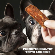 Chicken Jerky Dog Treats 1.5 Lb Human Grade Pet Snacks Grain Free Organic Meat All Natural High Protein Dried Strips Best Chews For Training Small & Large Dogs - Purrfect Pet Haven