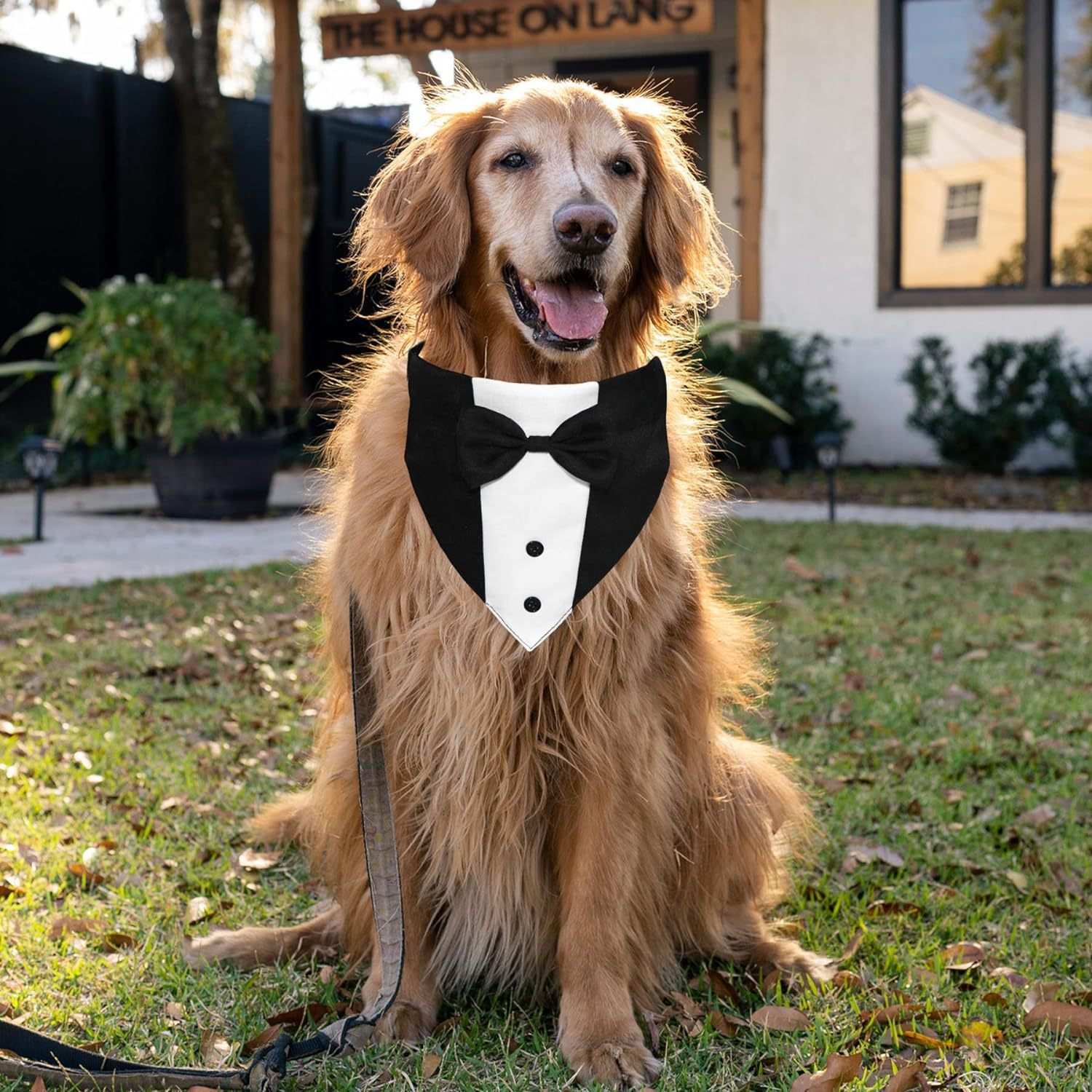 Dog Tuxedo Suit With Bow Tie And Bandana Adjustable Formal Costumes For Small, Medium, Large Dogs Perfect For Weddings Birthdays - Purrfect Pet Haven