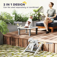 Agility Platform Pro - Wooden Dog Training Board - Purrfect Pet Haven