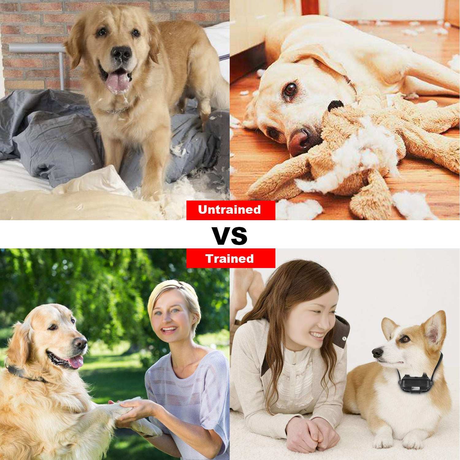 Dog Training Collar With Remote IP67 Waterproof Pet Trainer 300mAh Rechargeable 875 Yard Remote Control 4 Modes Adjustable Level - Purrfect Pet Haven