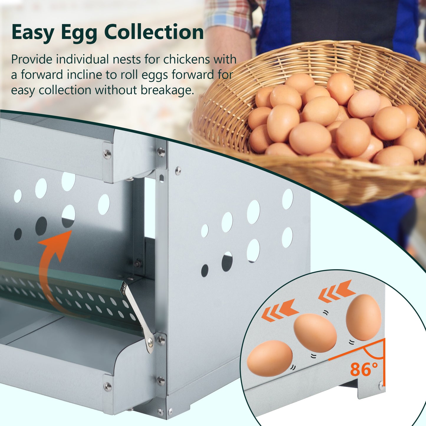 6-Compartment Chicken Nesting Box - Roll-Away Egg Collection - Purrfect Pet Haven