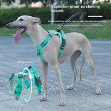 Dog Harness - Large Chest Style with Leash - Purrfect Pet Haven