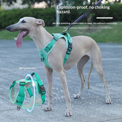 Dog Harness - Large Chest Style with Leash - Purrfect Pet Haven