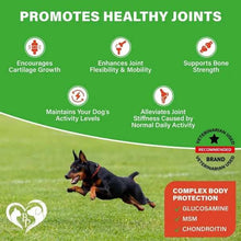 Dog Hip Joint Supplement - Glucosamine Chondroitin Arthritis Relief - Purrfect Pet Haven