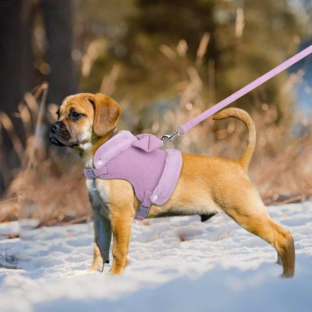 Warm Fur Collar Soft Padded Small Girl Pet Harness and Leash Set with Bow Tie - Purrfect Pet Haven