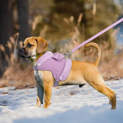 Bow Tie Puppy Harness - Warm Padded Dog Leash Set - Purrfect Pet Haven