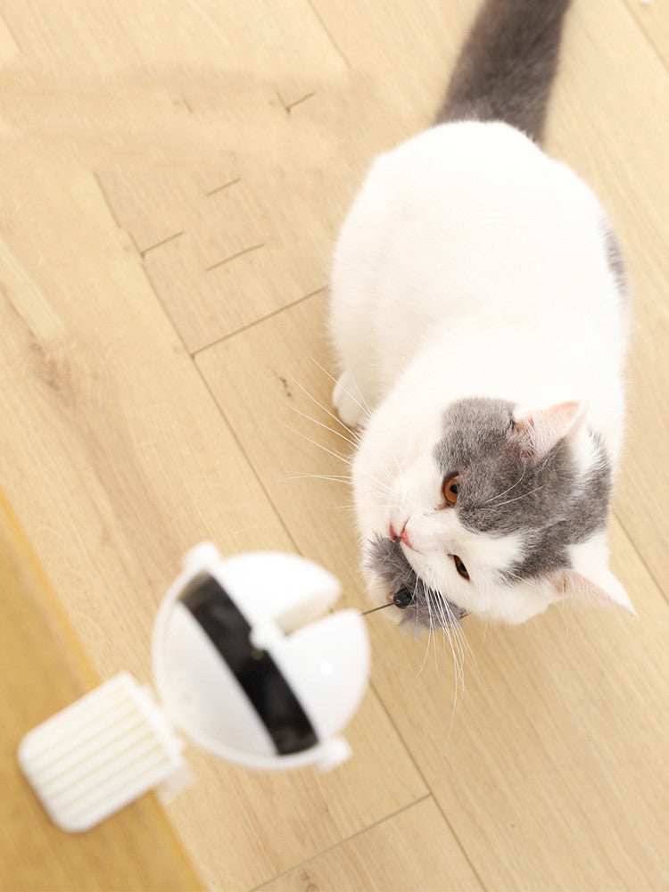 Smart Electric Cat Toy - Automatic Lifting Puzzle Ball - Purrfect Pet Haven