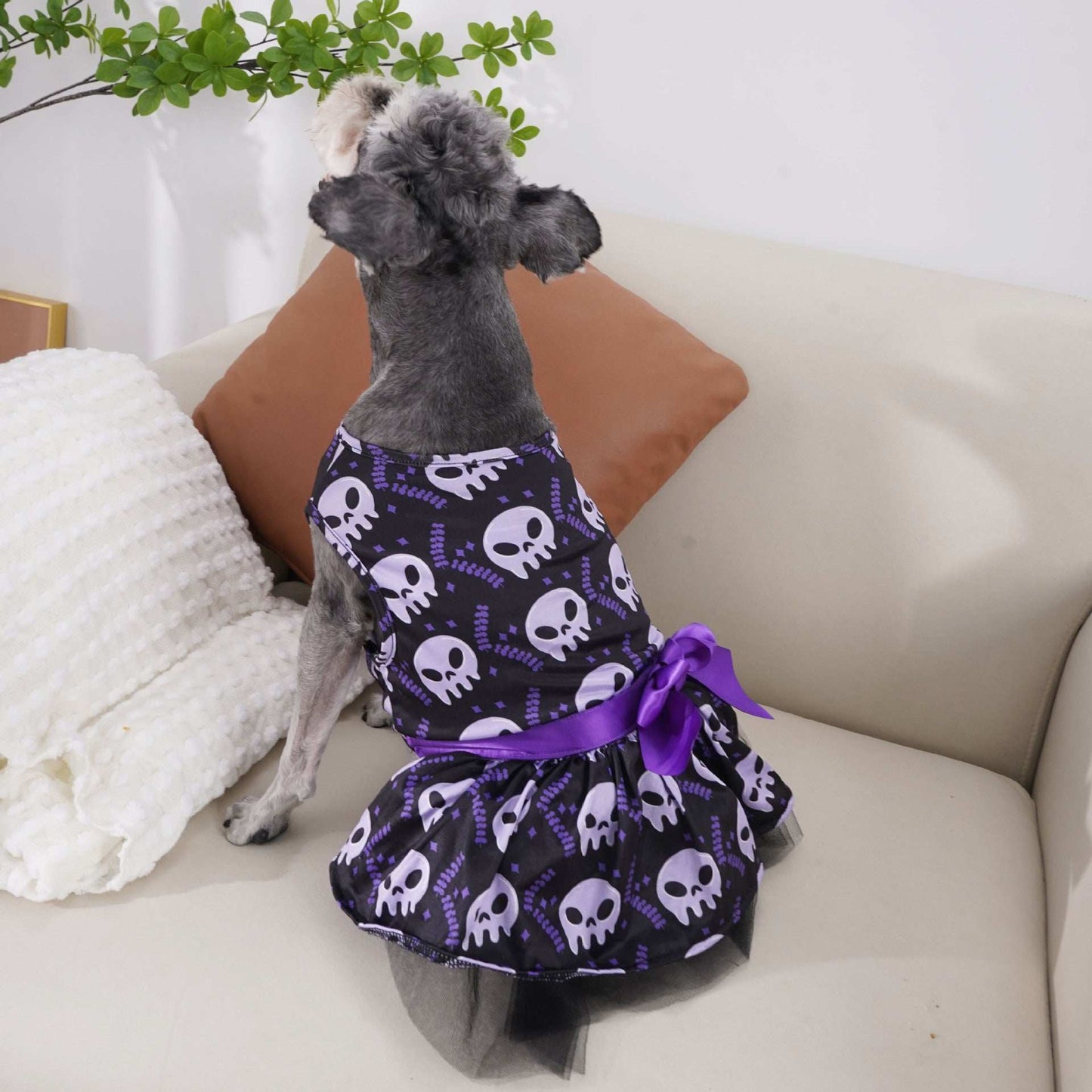 Halloween Dog Costume Outfit - Festive Pet Clothing for Spooky Season - Purrfect Pet Haven