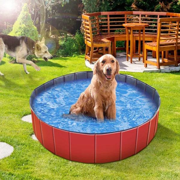 Foldable Dog Pool - Pet Swimming & Bathing Tub - Purrfect Pet Haven